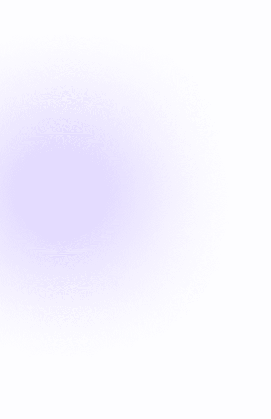 MT5 Special Border